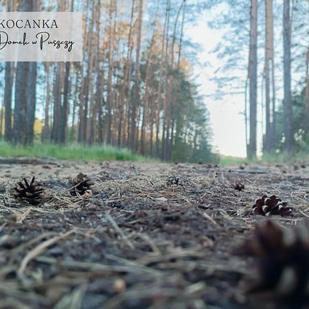 Domek W Puszczy ,,Kocanka" Mezyk Exterior foto